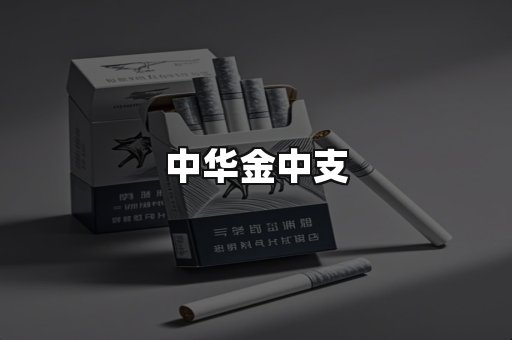 中华金中支